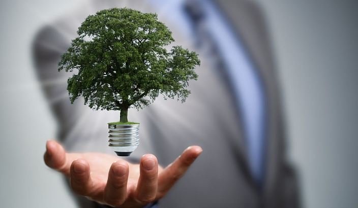 Sustainability as a Business Imperative